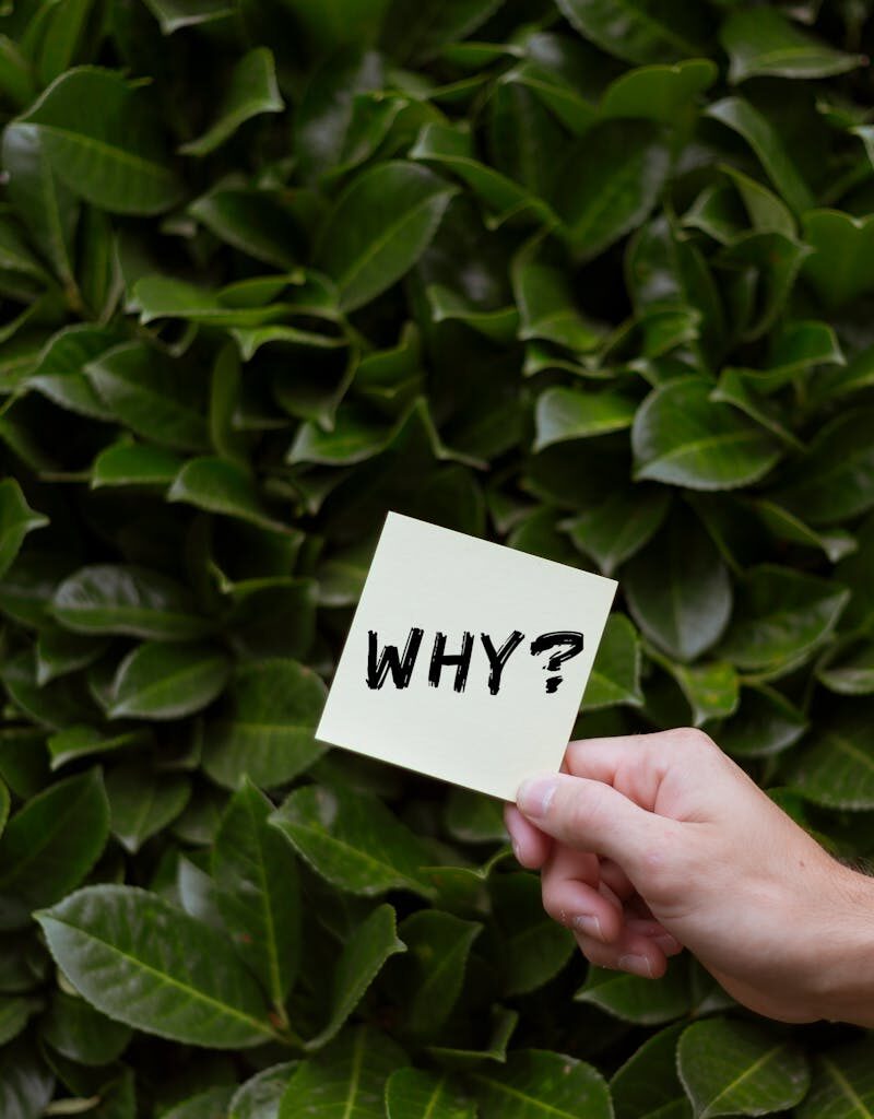 A person holds a paper with 'Why?' against a lush green bush, questioning or seeking ideas.